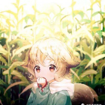 驾照更难考了吗